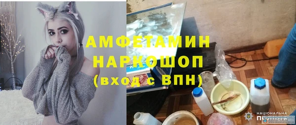 дмт Тавда