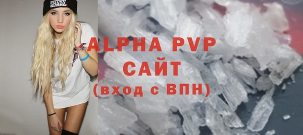 jwh Тайга