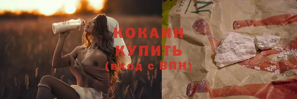 дмт Тавда