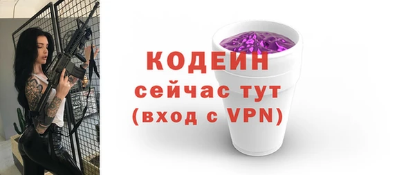 дмт Тавда
