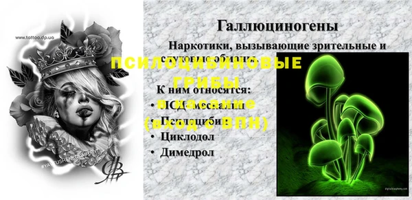 jwh Тайга