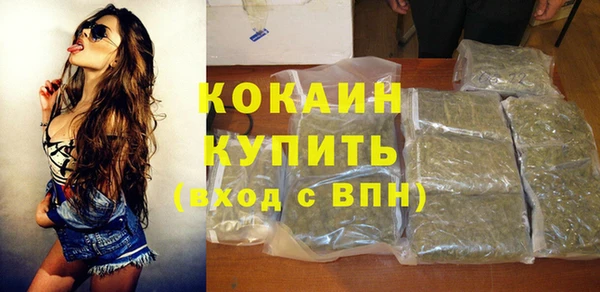 jwh Тайга