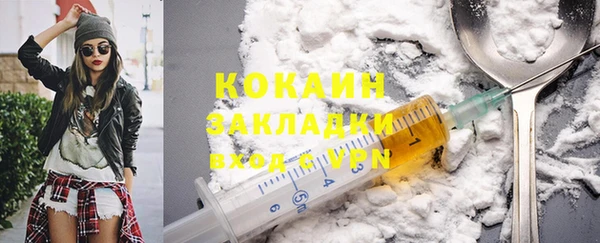 дмт Тавда