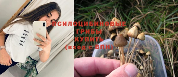 дмт Тавда