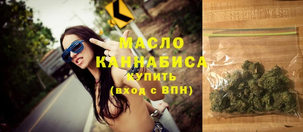 дмт Тавда