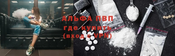 дмт Тавда